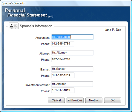 Personal Financial Statement Software