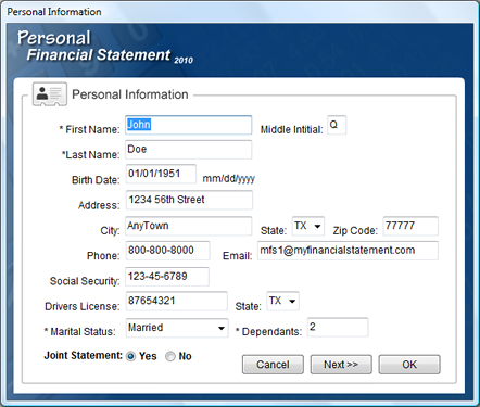 Personal Financial Statement Software